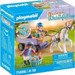 HORSE OF WATERFALL CARRUAJE CON PONI
