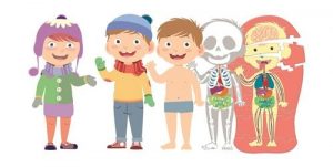 EDUCATION CLEMENTONI - EL CUERPO HUMANO